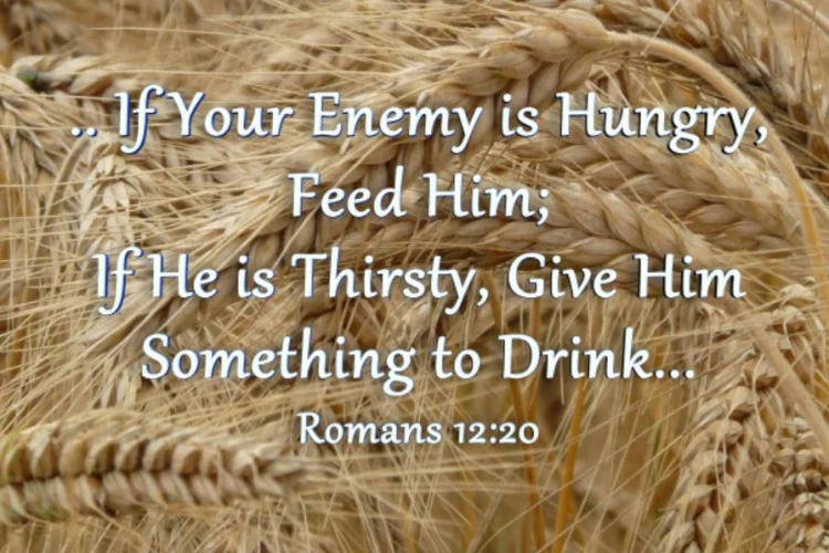 Romans 12:20